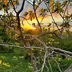 Istria 3*