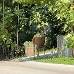 Istria 트루스케
