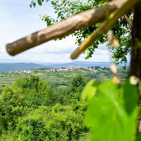 Istria Truške