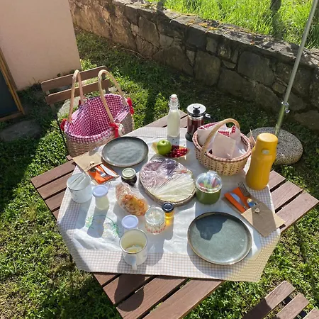 Istria Marezige
