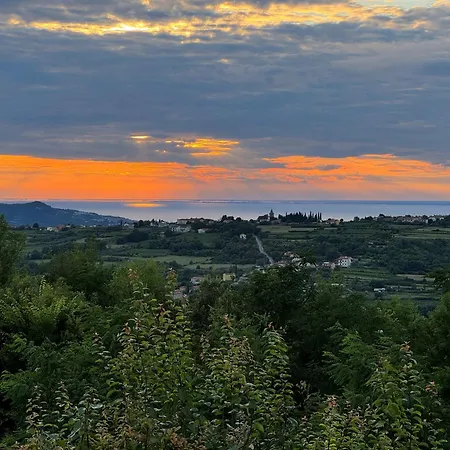 Istria Truške