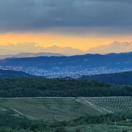 Istria Truške