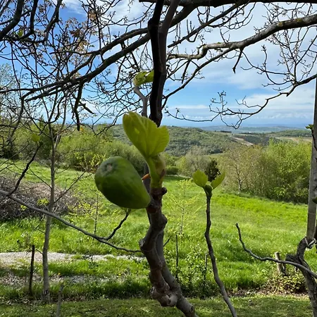 招待所 Istria *