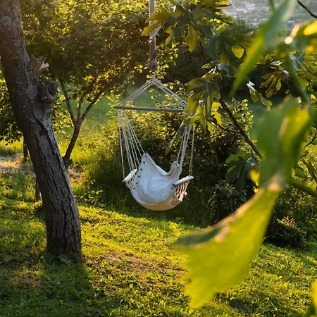Istria Truške