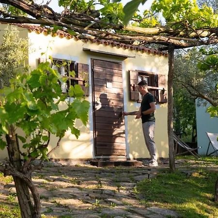 Konukevi Istria *