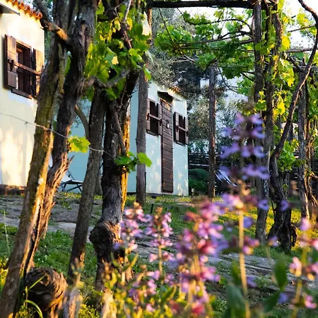 Istria 招待所 Truške