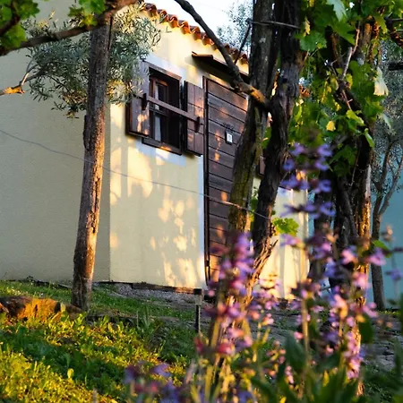 Istria * Truške